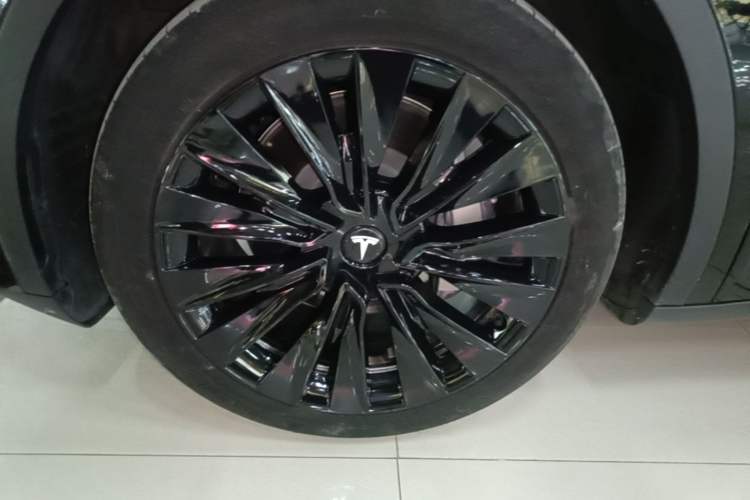 Used Tesla Model Y 2023 Rear-Wheel-Drive Version Exterior 2