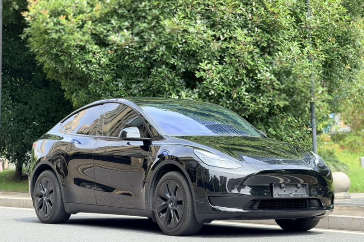 Used Tesla Model Y 2023 Rear-Wheel-Drive Version Exterior 2