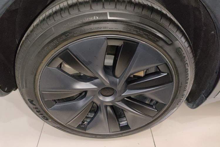 Used Tesla Model Y 2023 Rear-Wheel-Drive Version Exterior 3