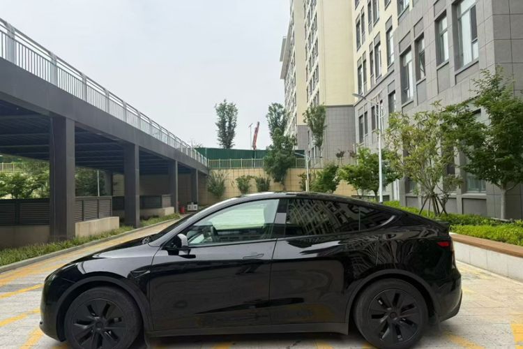 Used Tesla Model Y 2023 Rear-Wheel-Drive Version Exterior 3