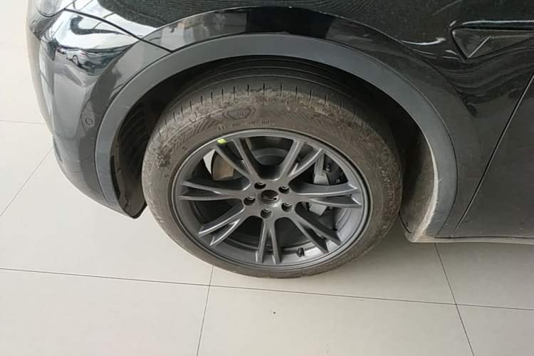 Used Tesla Model Y 2023 Rear-Wheel-Drive Version Exterior 4