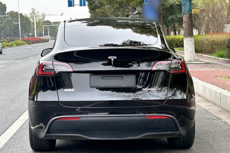 Used Tesla Model Y 2023 Long-Range All-Wheel-Drive Version Exterior 4
