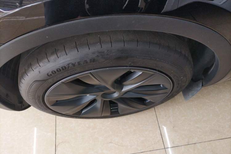 Used Tesla Model Y 2023 Rear-Wheel-Drive Version Exterior 4