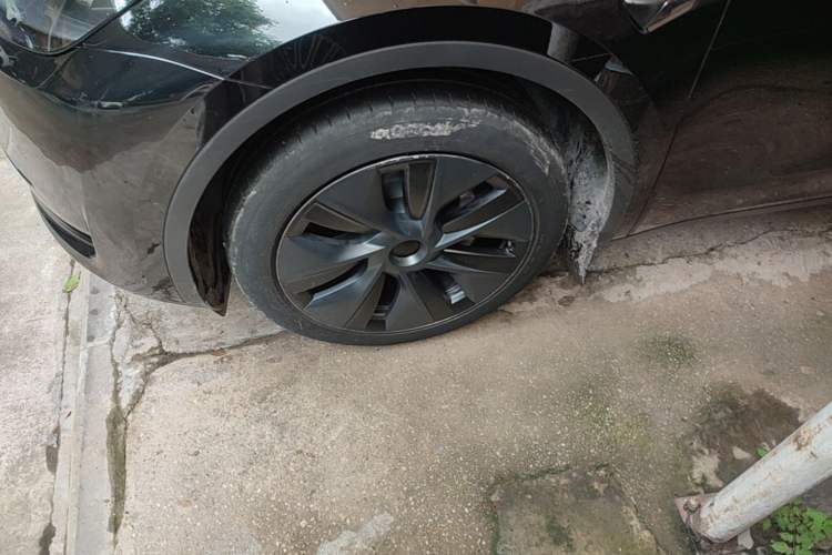 Used Tesla Model Y 2023 Rear-Wheel-Drive Version Exterior 4