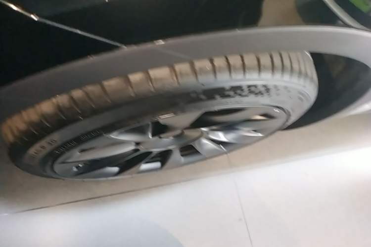 Used Tesla Model Y 2023 Rear-Wheel-Drive Version Exterior 4