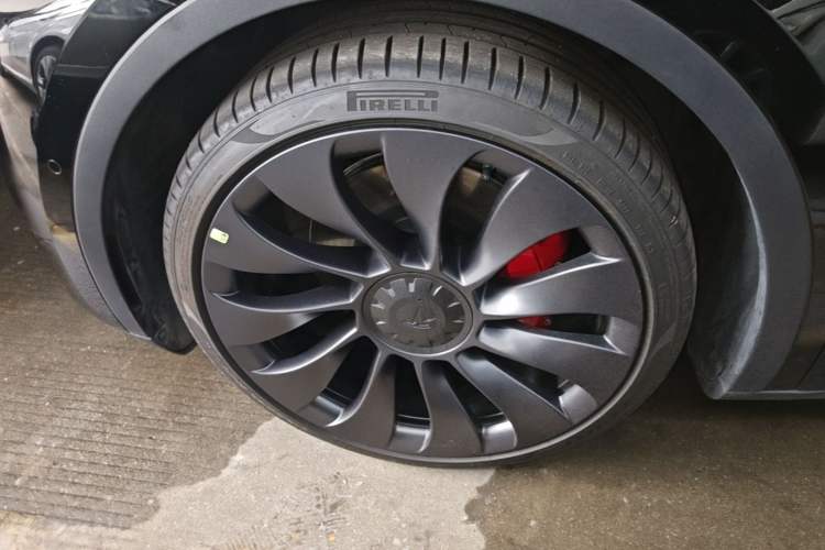 Used Tesla Model Y 2023 High-Performance All-Wheel-Drive Version Exterior 4