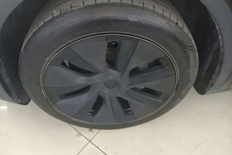 Used Tesla Model Y 2023 Rear-Wheel-Drive Version Exterior 4
