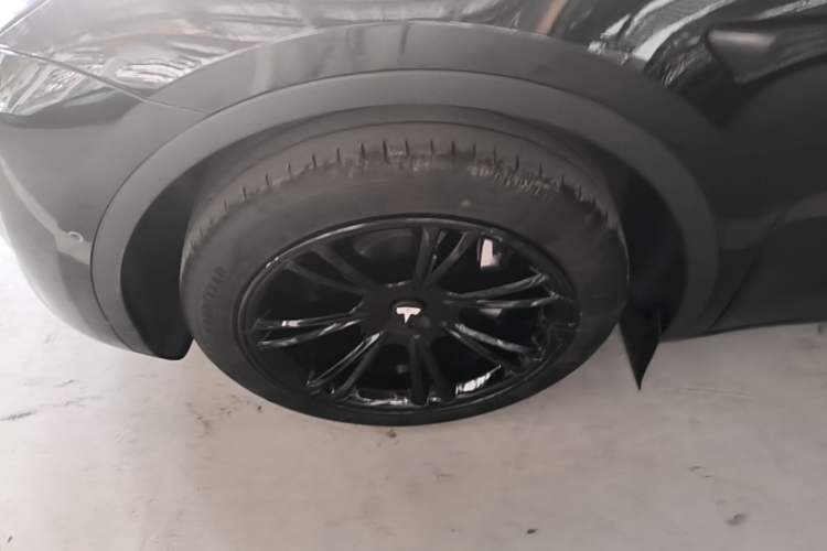 Used Tesla Model Y 2023 Rear-Wheel-Drive Version Exterior 4