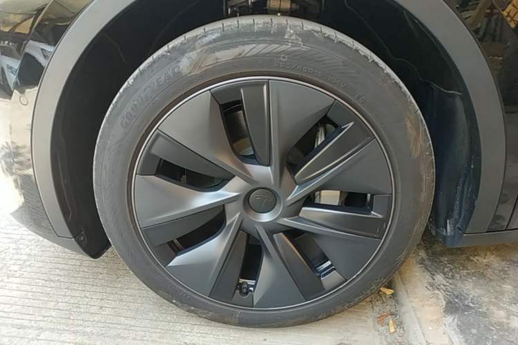 Used Tesla Model Y 2023 Rear-Wheel-Drive Version Exterior 4