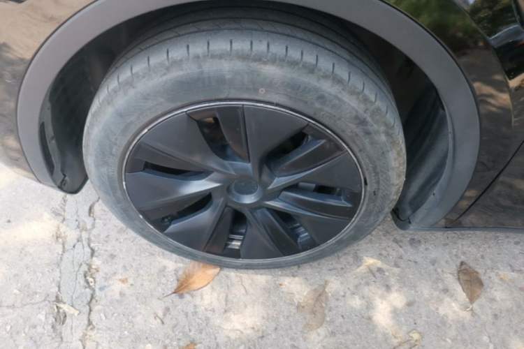 Used Tesla Model Y 2023 Rear-Wheel-Drive Version Exterior 4