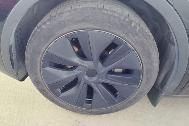 Used Tesla Model Y 2023 Rear-Wheel-Drive Version Exterior 4