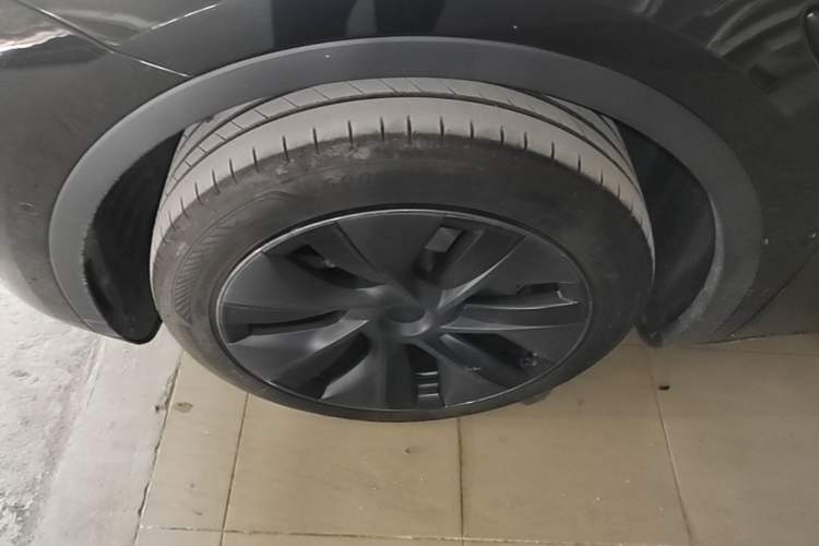 Used Tesla Model Y 2023 Rear-Wheel-Drive Version Exterior 4