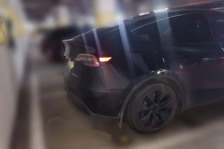 Used Tesla Model Y 2023 Rear-Wheel-Drive Version Exterior 4