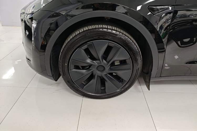 Used Tesla Model Y 2023 Rear-Wheel-Drive Version Exterior 4