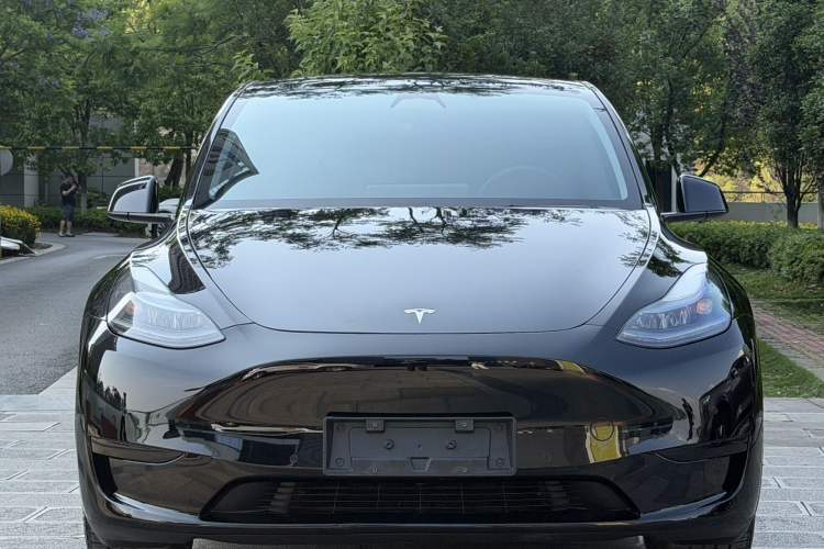 Used Tesla Model Y 2023 Rear-Wheel-Drive Version Exterior 4
