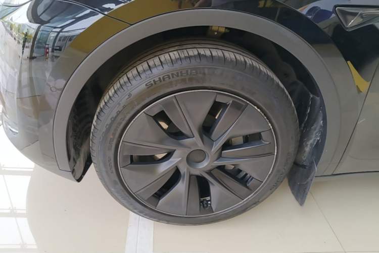 Used Tesla Model Y 2023 Rear-Wheel-Drive Version Exterior 4