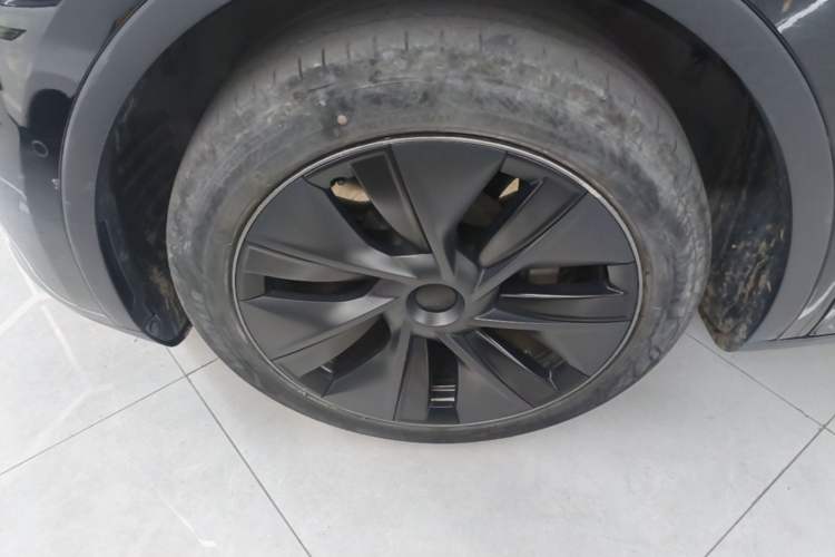 Used Tesla Model Y 2023 Rear-Wheel-Drive Version Exterior 4