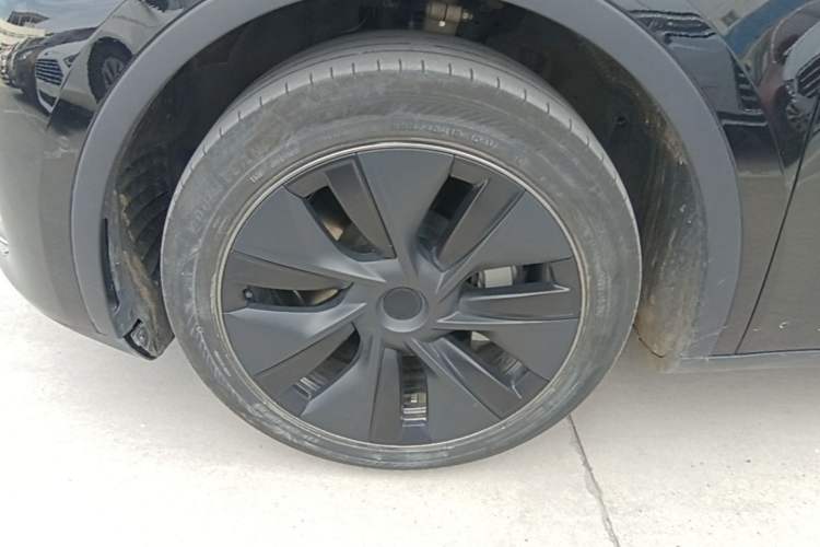 Used Tesla Model Y 2023 Rear-Wheel-Drive Version Exterior 4