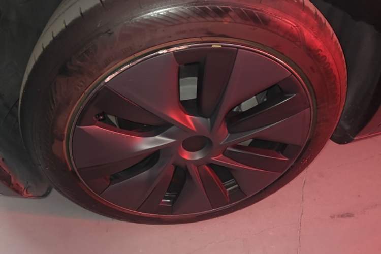 Used Tesla Model Y 2023 Rear-Wheel-Drive Version Exterior 4