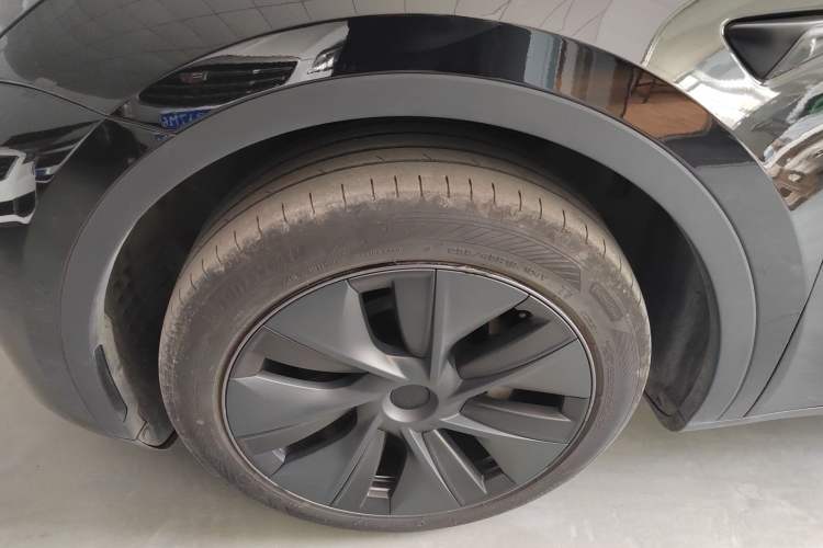 Used Tesla Model Y 2023 Rear-Wheel-Drive Version Exterior 4