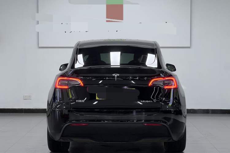 Used Tesla Model Y 2023 Long-Range All-Wheel-Drive Version Exterior 4