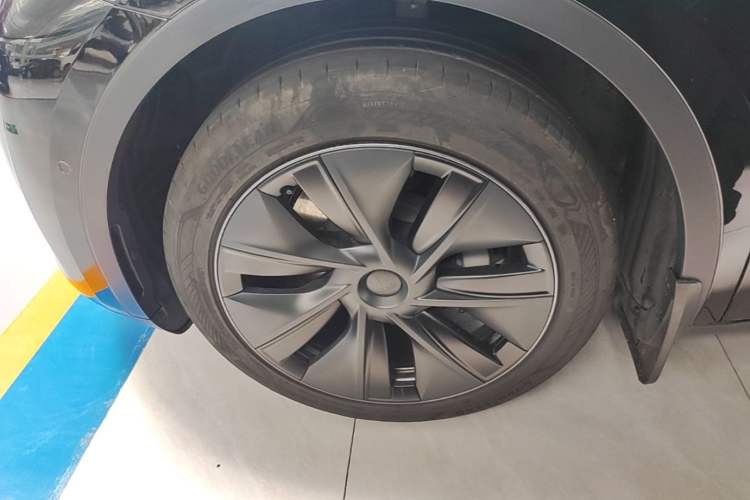 Used Tesla Model Y 2023 Rear-Wheel-Drive Version Exterior 4