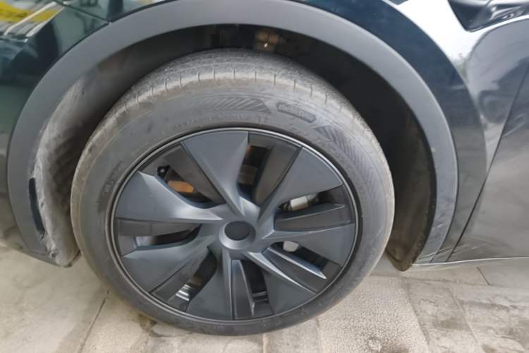 Used Tesla Model Y 2023 Rear-Wheel-Drive Version Exterior 4