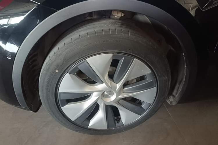 Used Tesla Model Y 2023 Rear-Wheel-Drive Version Exterior 4