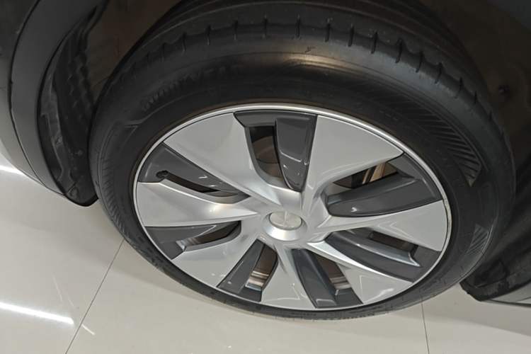 Used Tesla Model Y 2023 Rear-Wheel-Drive Version Exterior 4
