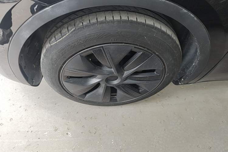 Used Tesla Model Y 2023 Rear-Wheel-Drive Version Exterior 4