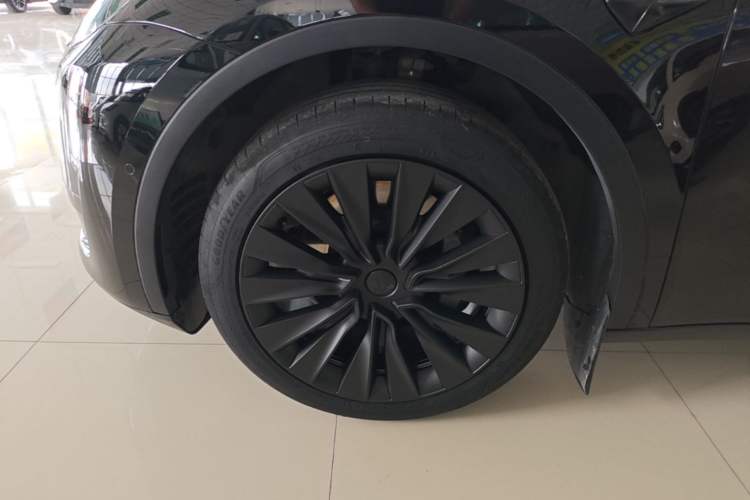 Used Tesla Model Y 2023 Rear-Wheel-Drive Version Exterior 4