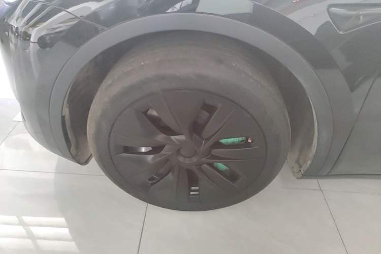 Used Tesla Model Y 2023 Rear-Wheel-Drive Version Exterior 4