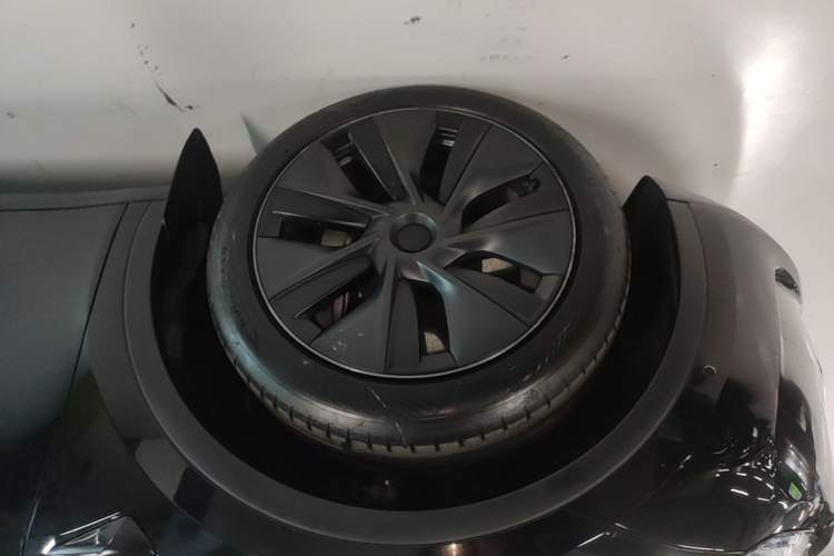 Used Tesla Model Y 2023 Rear-Wheel-Drive Version Exterior 4
