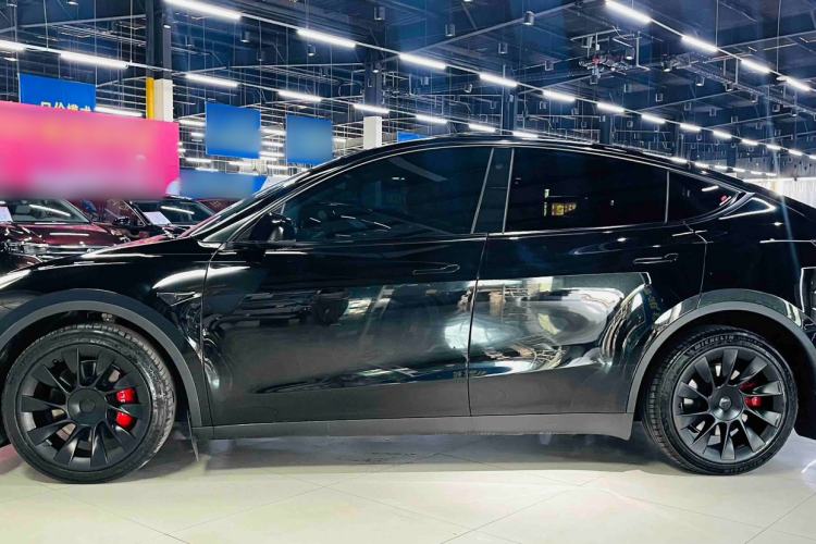Used Tesla Model Y 2023 Long-Range All-Wheel-Drive Version Exterior 4