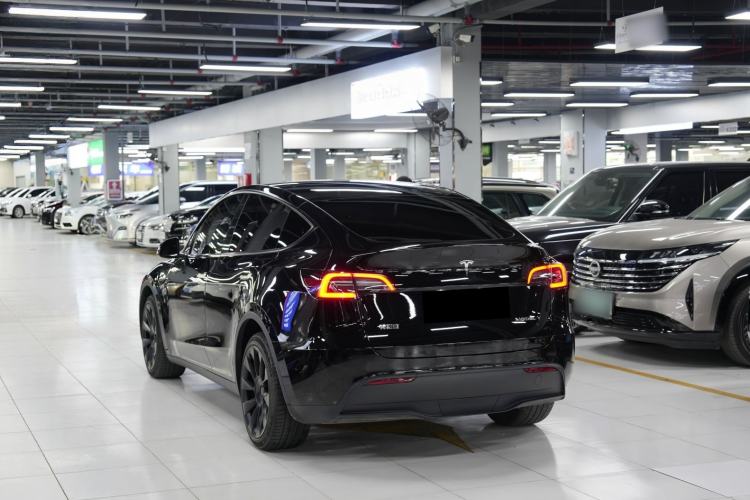 Used Tesla Model Y 2023 Long-Range All-Wheel-Drive Version Exterior 5