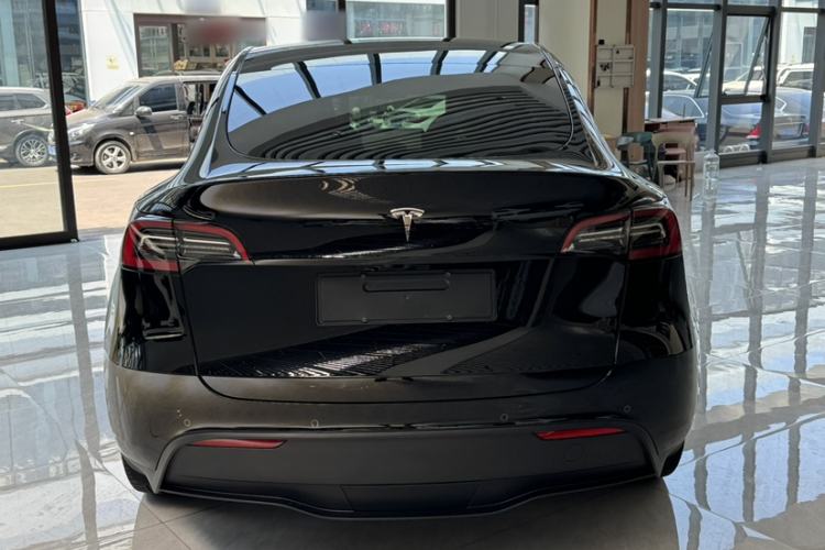 Used Tesla Model Y 2023 Long-Range All-Wheel-Drive Version Exterior 5
