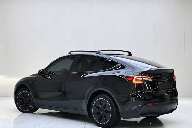 Used Tesla Model Y 2023 Long-Range All-Wheel-Drive Version Exterior 5
