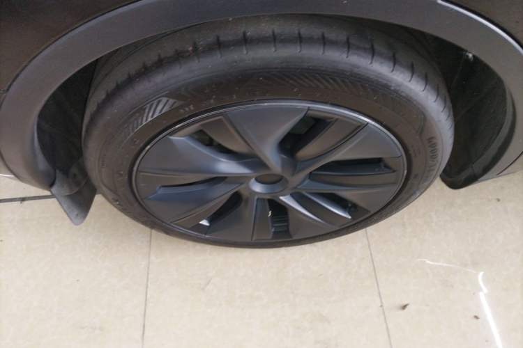 Used Tesla Model Y 2023 Rear-Wheel-Drive Version Exterior 5