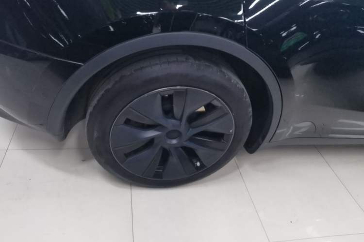 Used Tesla Model Y 2023 Rear-Wheel-Drive Version Exterior 5