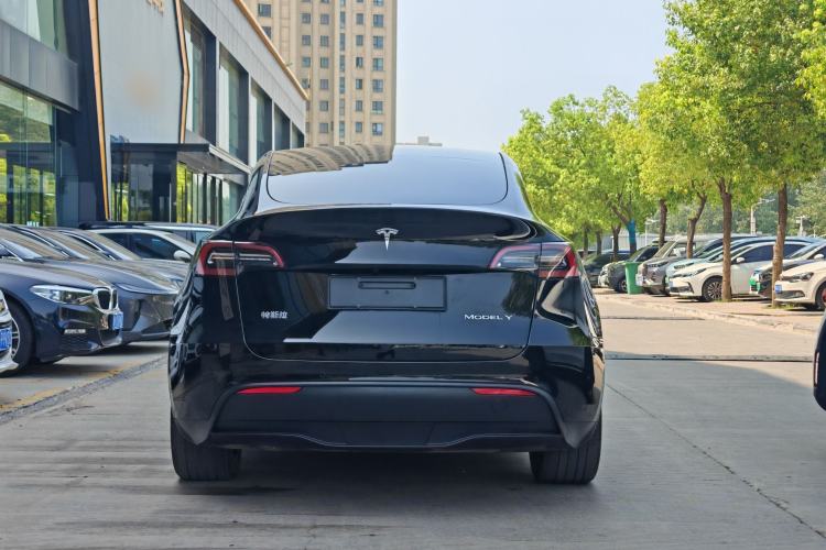 Used Tesla Model Y 2023 Rear-Wheel-Drive Version Exterior 5