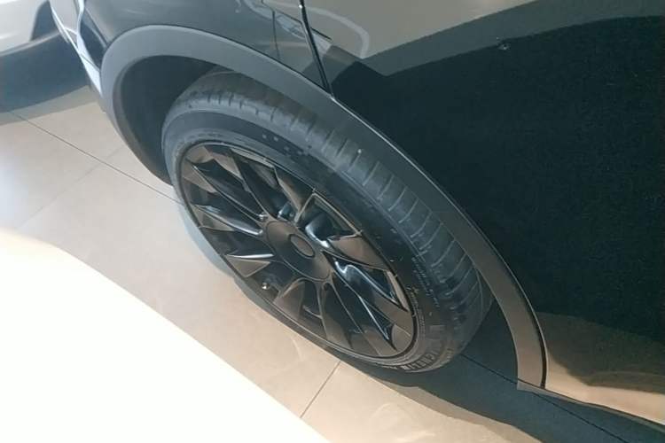 Used Tesla Model Y 2023 Rear-Wheel-Drive Version Exterior 5