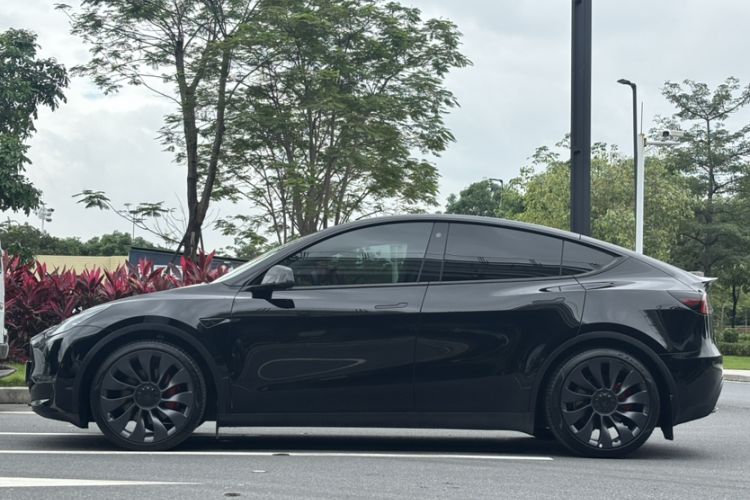 Used Tesla Model Y 2023 High-Performance All-Wheel-Drive Version Exterior 5