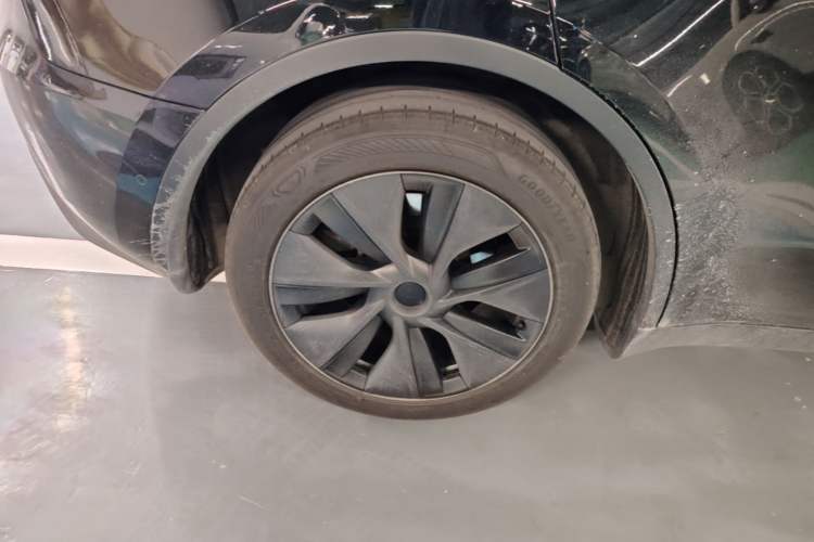 Used Tesla Model Y 2023 Long-Range All-Wheel-Drive Version Exterior 5