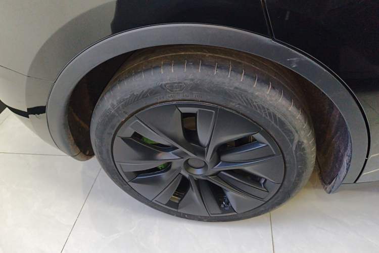 Used Tesla Model Y 2023 Rear-Wheel-Drive Version Exterior 5