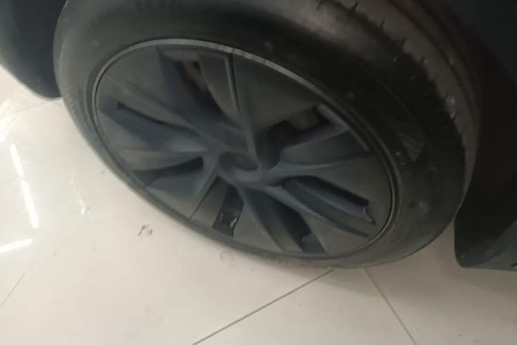 Used Tesla Model Y 2023 Rear-Wheel-Drive Version Exterior 5
