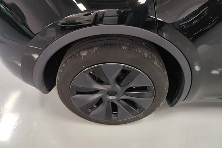 Used Tesla Model Y 2023 Rear-Wheel-Drive Version Exterior 5