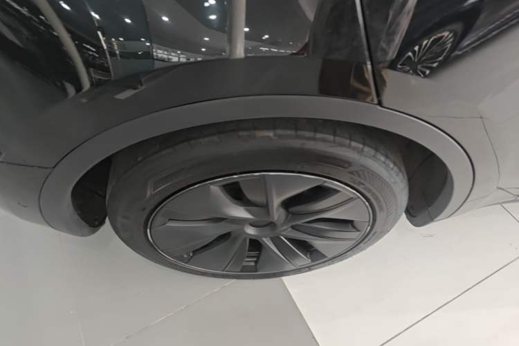 Used Tesla Model Y 2023 Rear-Wheel-Drive Version Exterior 5