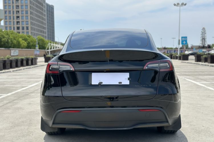 Used Tesla Model Y 2023 Rear-Wheel-Drive Version Exterior 5