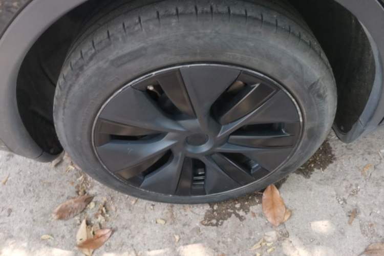 Used Tesla Model Y 2023 Rear-Wheel-Drive Version Exterior 5