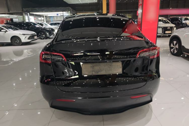 Used Tesla Model Y 2023 Rear-Wheel-Drive Version Exterior 5